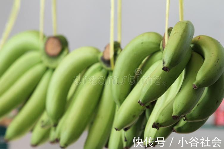 妙招|香蕉好吃却不容易保存教你一个妙招,放一周不腐烂不变黑