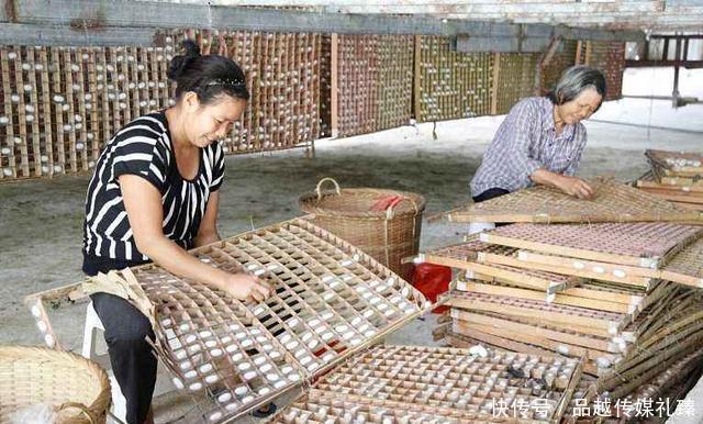 称为|草木灰为何被称为万能神物,古人是如何变废为宝的