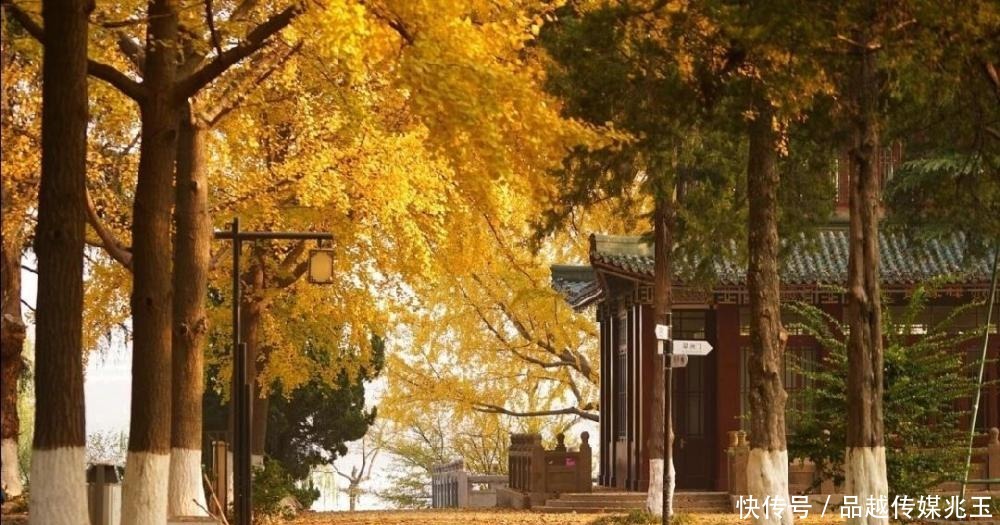 “庙小妖风大,人狠话不多”:真正有本事的人,都很安静