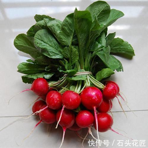 好吃|用了45天时间,在阳台种了“2盆”萝卜,好看又好吃