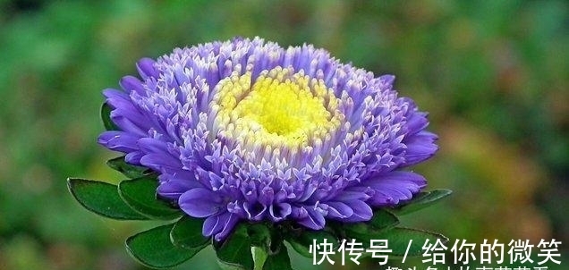 多福|七天后,踏实上进,纠缠无果,情梦不断,越过越顺,多金多福