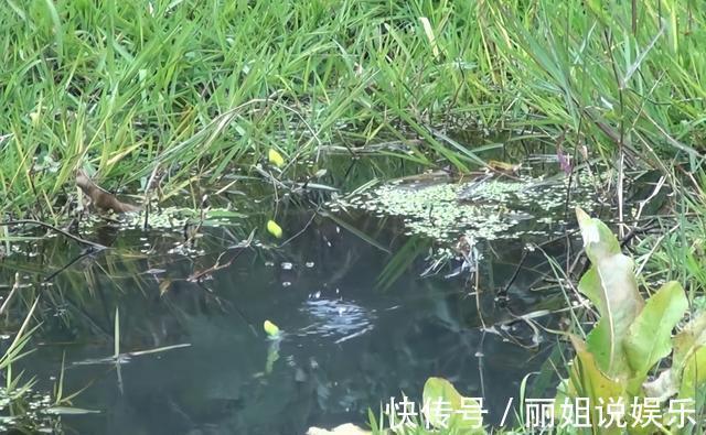 冬天出太阳不好钓鱼?只是没有找准地方而已