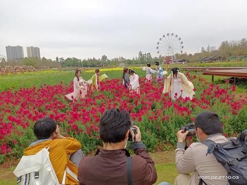 广东推出“花开岭南·春映芳菲”赏花路线，广州6个赏花点上榜