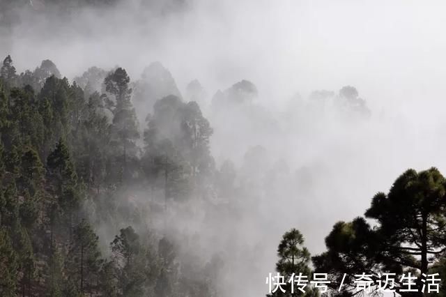 陆凯#诗词丨史上最美的8首短诗,首首经典,谁读了都会心醉