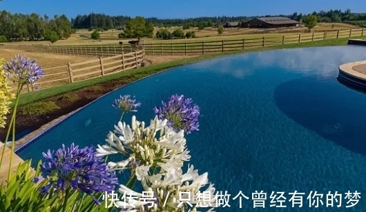 威尔逊|甲骨文创始人第三任妻子出售马术农场,报价1950万