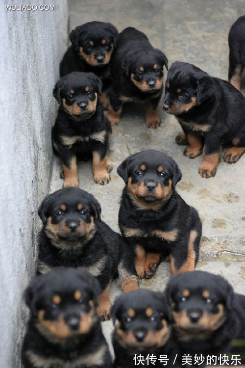 |搞笑图片:借个光,让我也看看