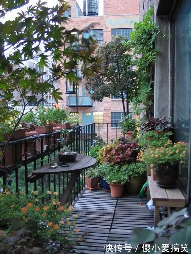 花园|3平米小阳台，也能变花园，有露台、阳台的千万别浪费！