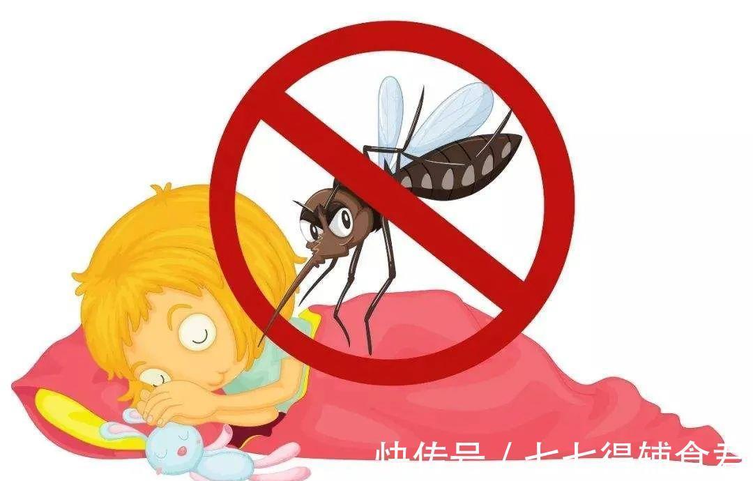 身体不适|藿香正气水有哪些妙用?除了消暑,还有这3种奇妙功效,你知道吗