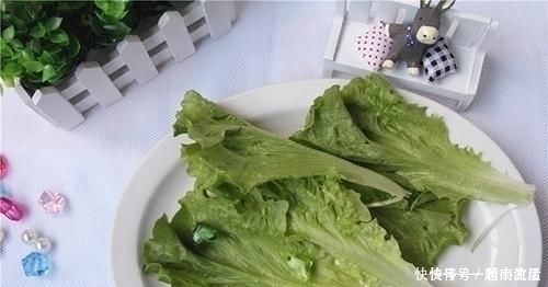 蘑菇|隔夜的菜究竟能不能吃?忠言劝告:三种隔夜菜别吃,扔掉不可惜