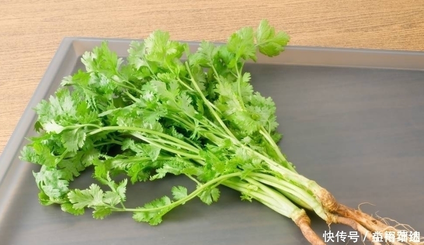 牡丹皮|香菜不能与此物一起食用，却有很多人还不清楚，看完告诉身边人