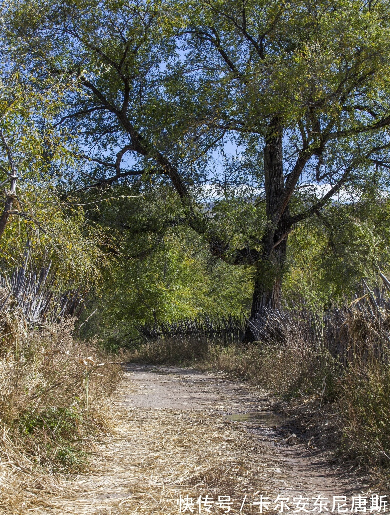 余秀华!《生命的底色》:余秀华,只要还有一口气在,我都要咏唱春天