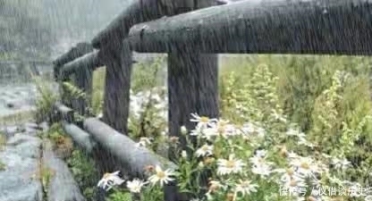 五律·江南秋雨正霏霏