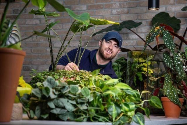 温室|英国宅男将客厅打造成丛林,其中一棵“摇钱树”每片叶子10万元