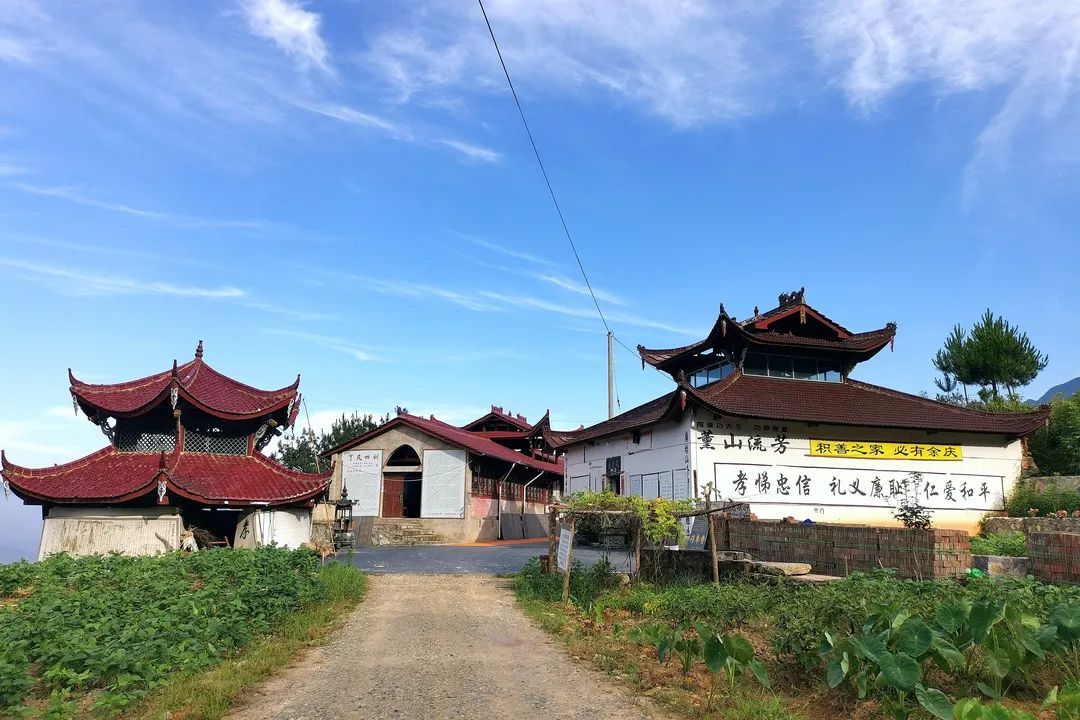 庆元县|茶旅融合 · 美丽薰山下 古朴清幽安逸