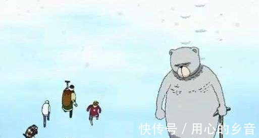 初生牛犊不怕虎|海贼王中的8只熊魅力难挡,暴君熊无敌,熊猫人最佳龙套