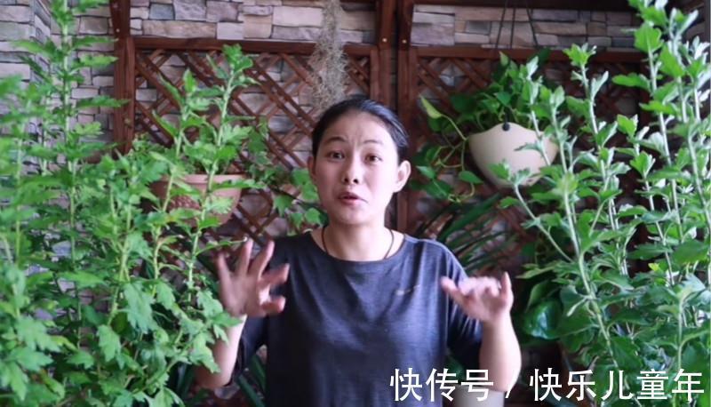 爆盆|此种花,养在防盗窗也能爆盆,现在正是它的主场