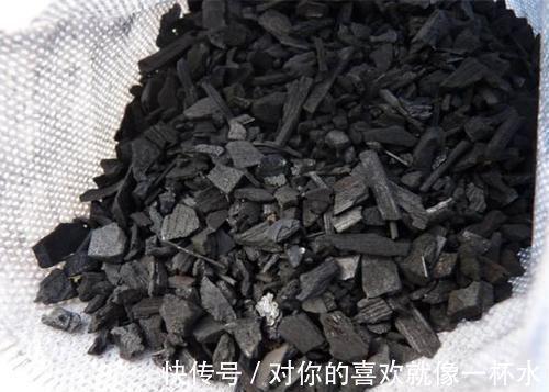 这种小东西,可是养花宝贝,盆底垫一些,不黄叶,根壮开花多!