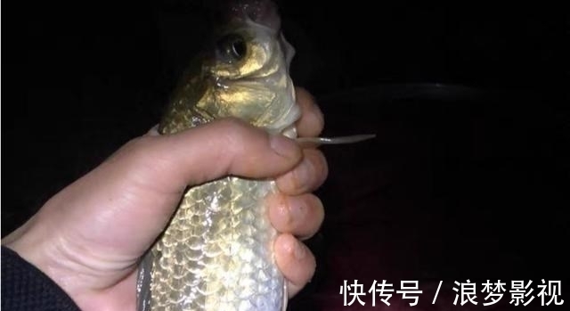 夜钓总是没口?提醒你做好这4件事,摆脱空军不再难!