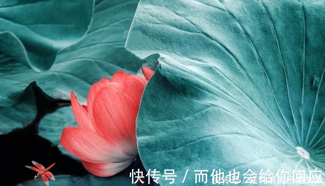 纳兰容若$20句令人惊艳的诗词,读一遍,就再也忘不掉