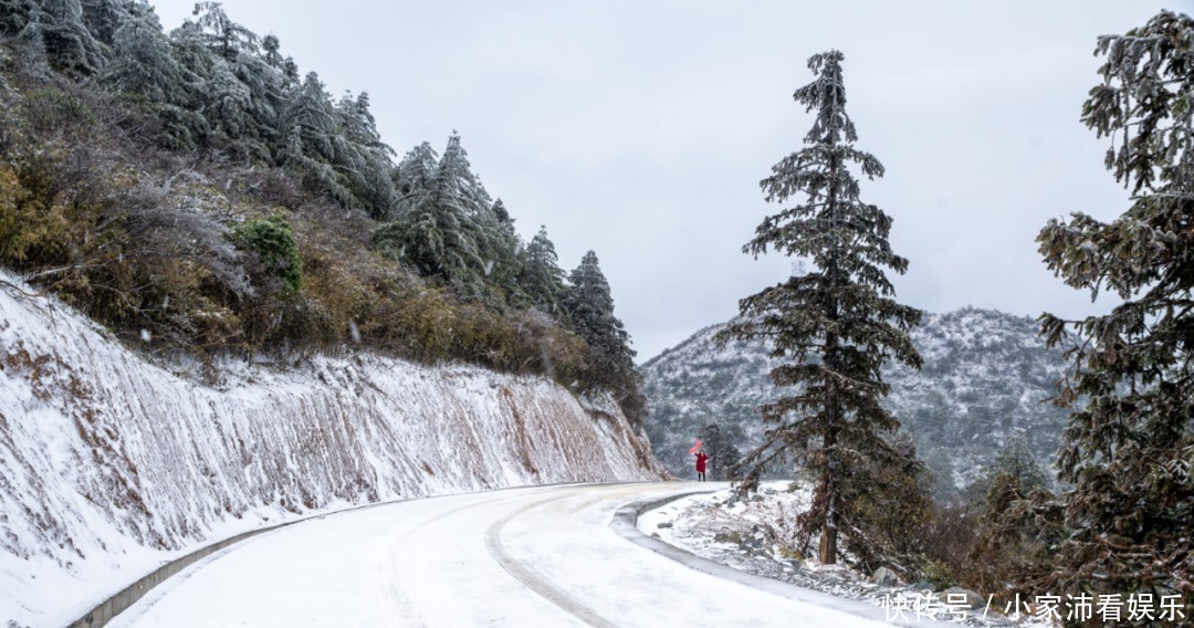 重庆主城|下雪了！雪玉山今冬第一场雪已“到货”，美景刷爆朋友圈！