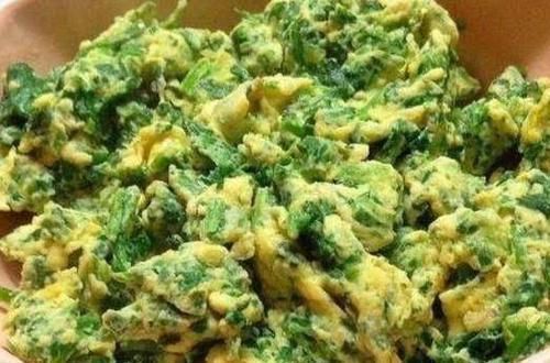 不吃此菜太可惜,比韭菜香,比白菜鲜,营养丰富,老少皆宜