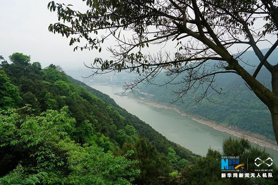 峡江步道|新华网：【飞“阅”中国】沿着峡江步道 看悬崖边上的长江春景