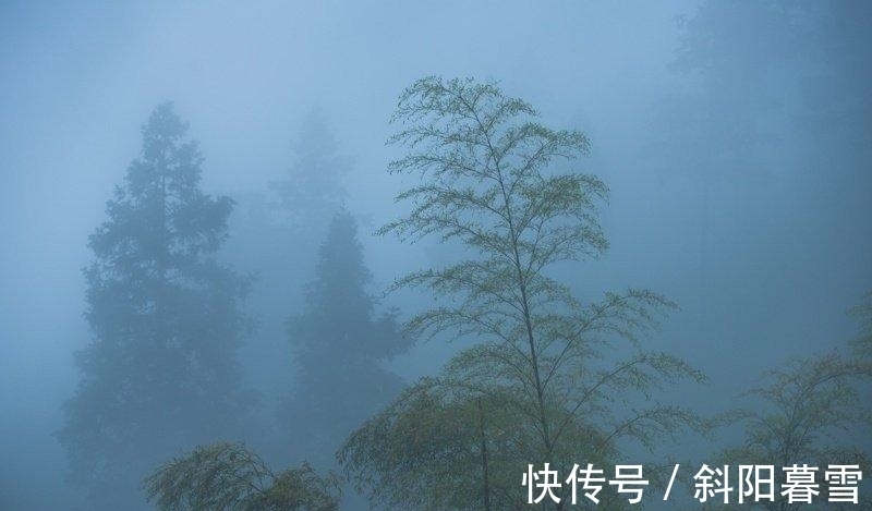 诗人&诗词:风光似水几人识,日落满林寻丹丘