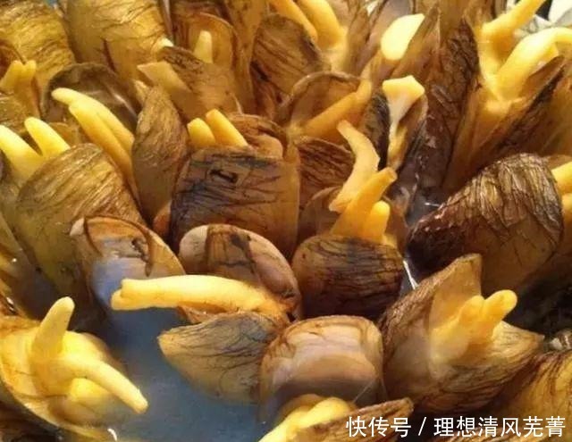 蛏子最好吃的做法,没有之一 每次吃都是连汤汁都不剩,百吃不厌