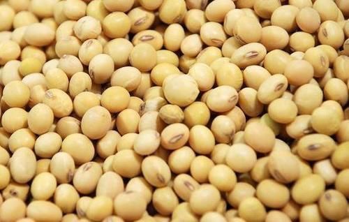 维生素|女性养生,推荐三种食物,护肤养颜,排毒祛湿,谁吃谁受益