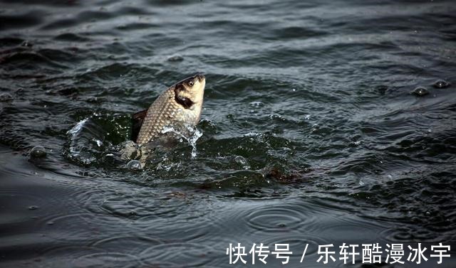 钓友|天冷口轻,浮漂没动静提竿却中鱼原因全在这3点!