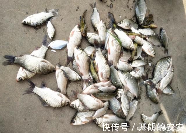 现在钓鱼人是最好骗的时候,为钓鱼舍得花钱,但别缴智商税