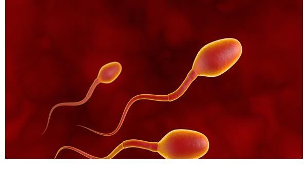 备孕|做ct会影响男人精子质量吗？备孕时4事情不能做