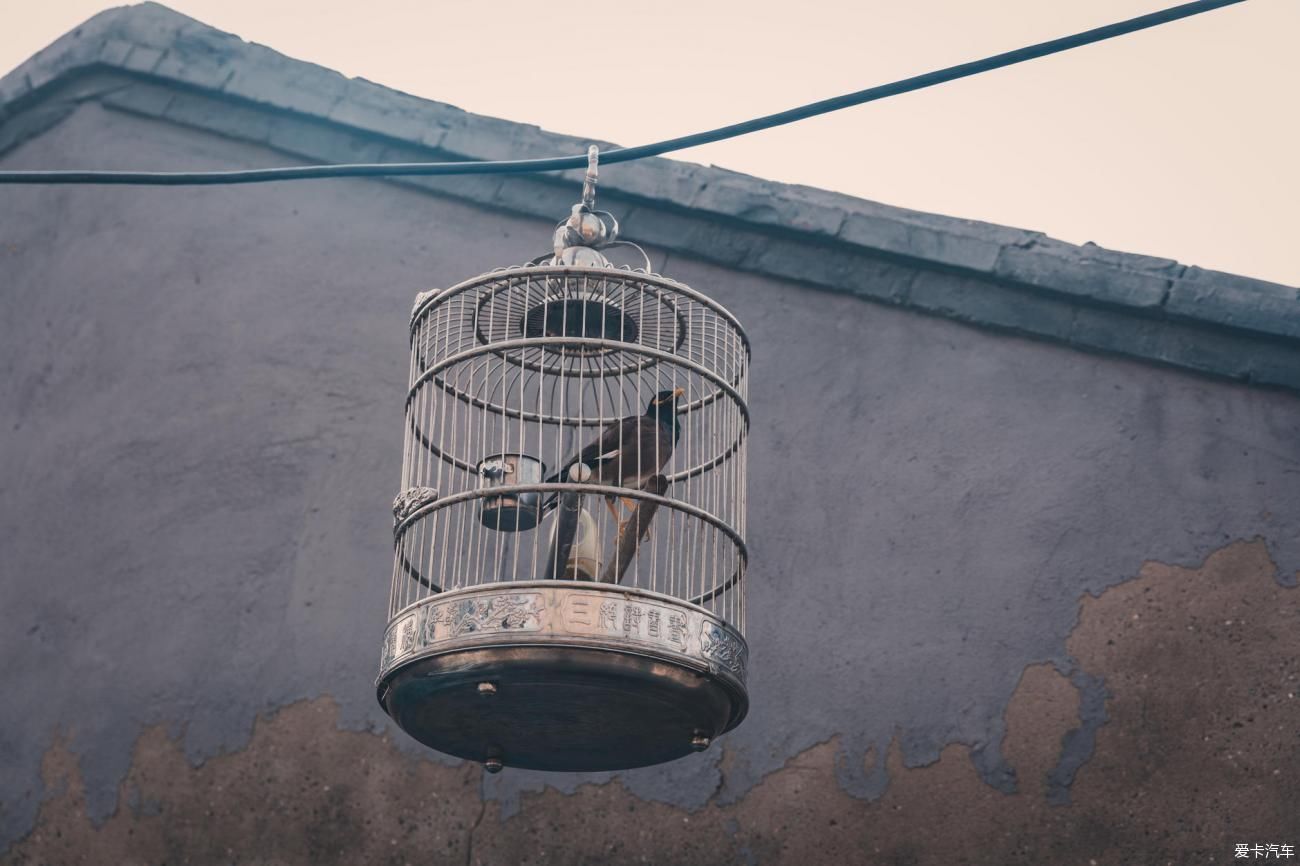 中薪|品味京城探索皇室与市井