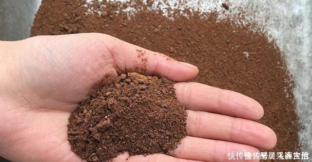 蚯蚓|冬钓用饵,我从不加小药,试用这东西,简单又方便,大板鲫特爱吃