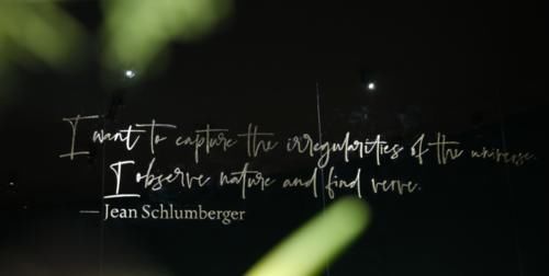 Tiffany 家最大的钻石，好闪！