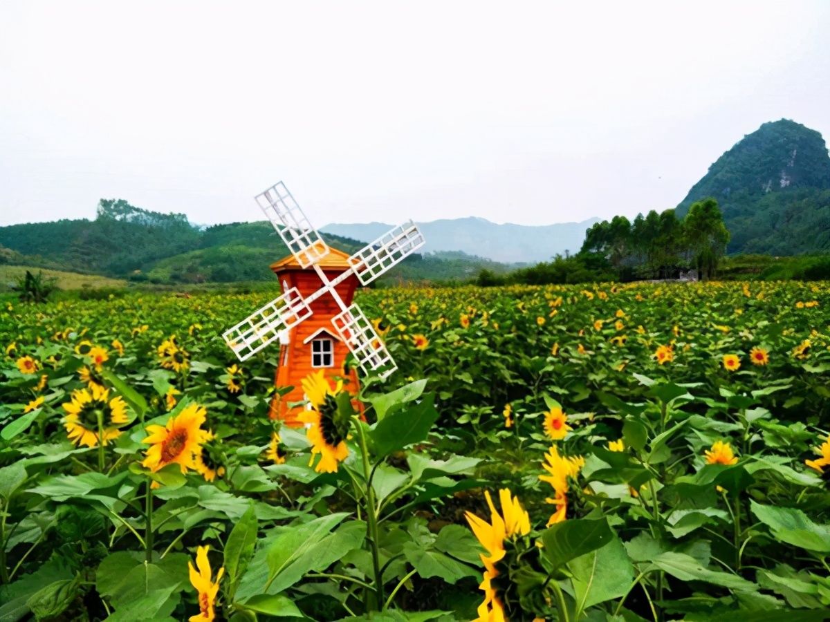 乡村旅游与各产业融合发展的几点思考