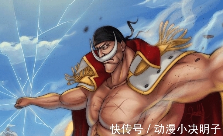 海贼团|大妈一句话说出最强海贼团，不是黑胡子和红发，而是低调的他！
