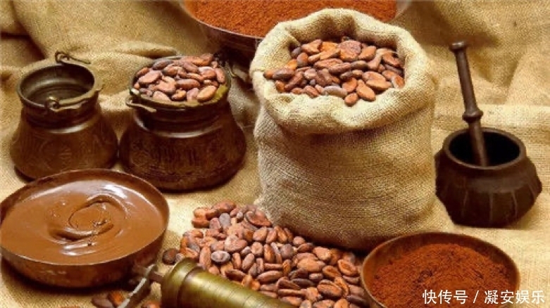 汇报|康熙第一次吃巧克力,竟看了近1000字的说明书后,又听了一次汇报