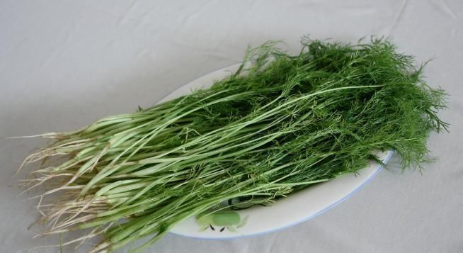 草酸|补钙只知道牛奶和钙片？6种绿叶菜含钙比牛奶还高