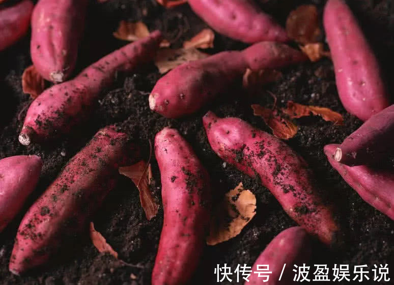 医生|被医生拉入“黑名单”的4种早餐,比油条还伤胃,尤其女性要少吃