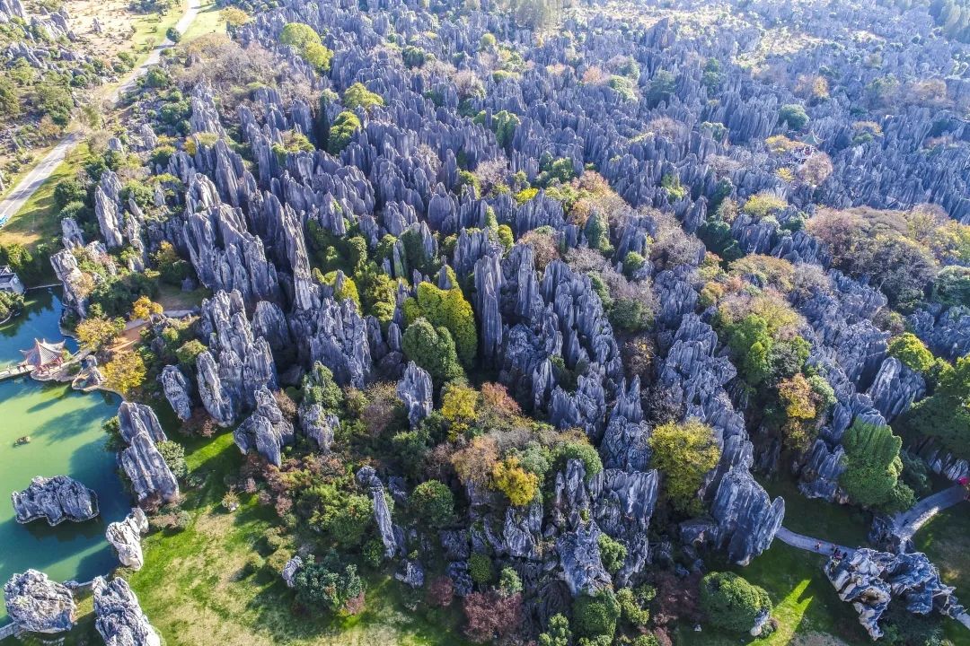 昆明人|昆明十二时辰 2022年春节昆明文旅活动优惠发布