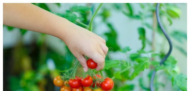 漫谈!漫谈人生(37)·“人生怎么样才能快乐?”