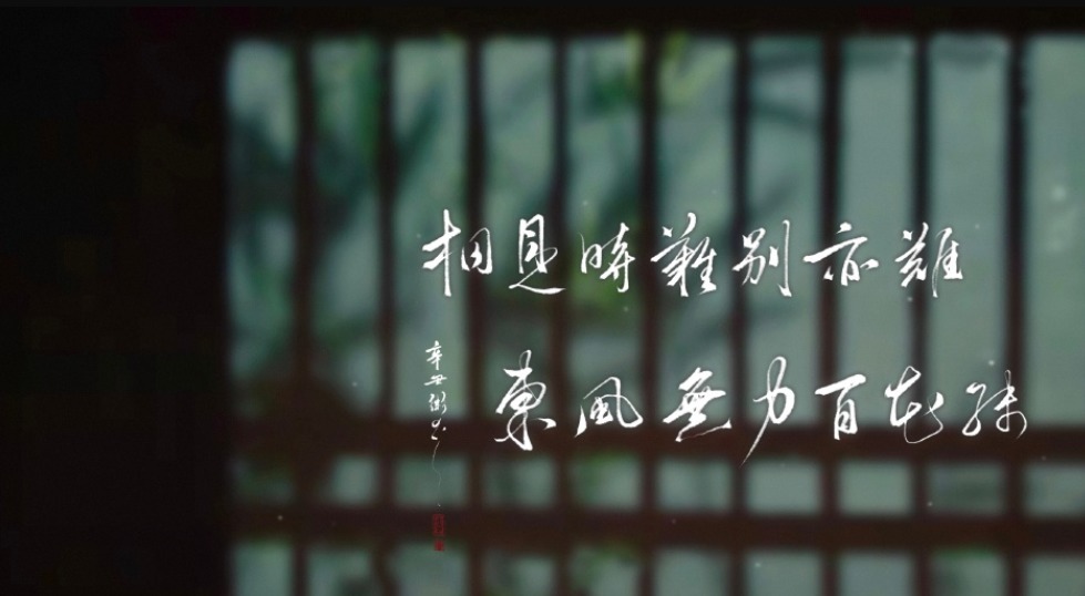 梧桐叶!故人身畔新人卧 山河冬雪独自坐 何来相思绊心魄 此生白头不复错