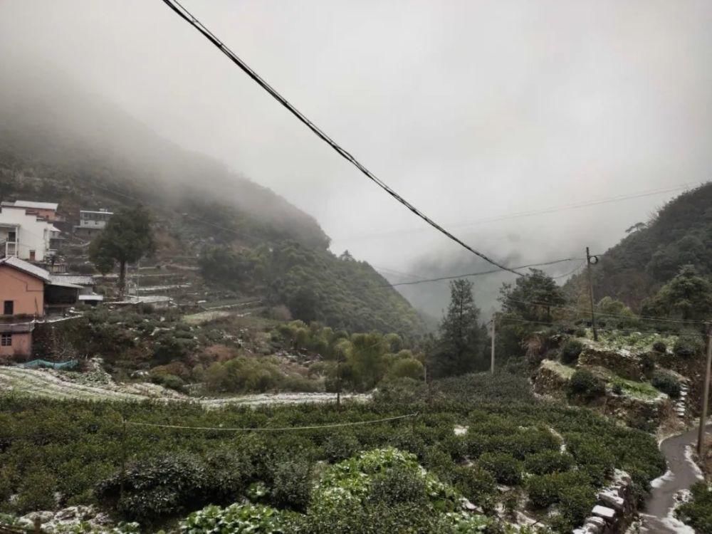 雪景|丽水这些地方下雪了，美炸了~最新雪景美图，请签收