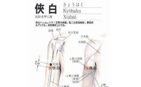 肺经|想要秋天少生病,一定要拍打此处,大病小病它都管