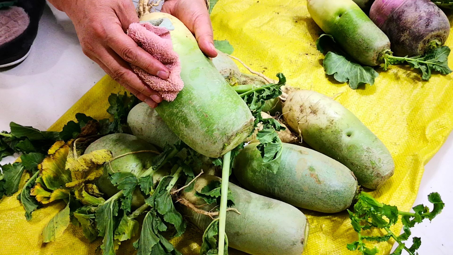 不管是保存萝卜还是白菜,学会此方法,放一冬天都新鲜,特方便