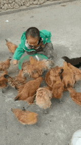 |搞笑GIF:姑娘 是时候找个男朋友了