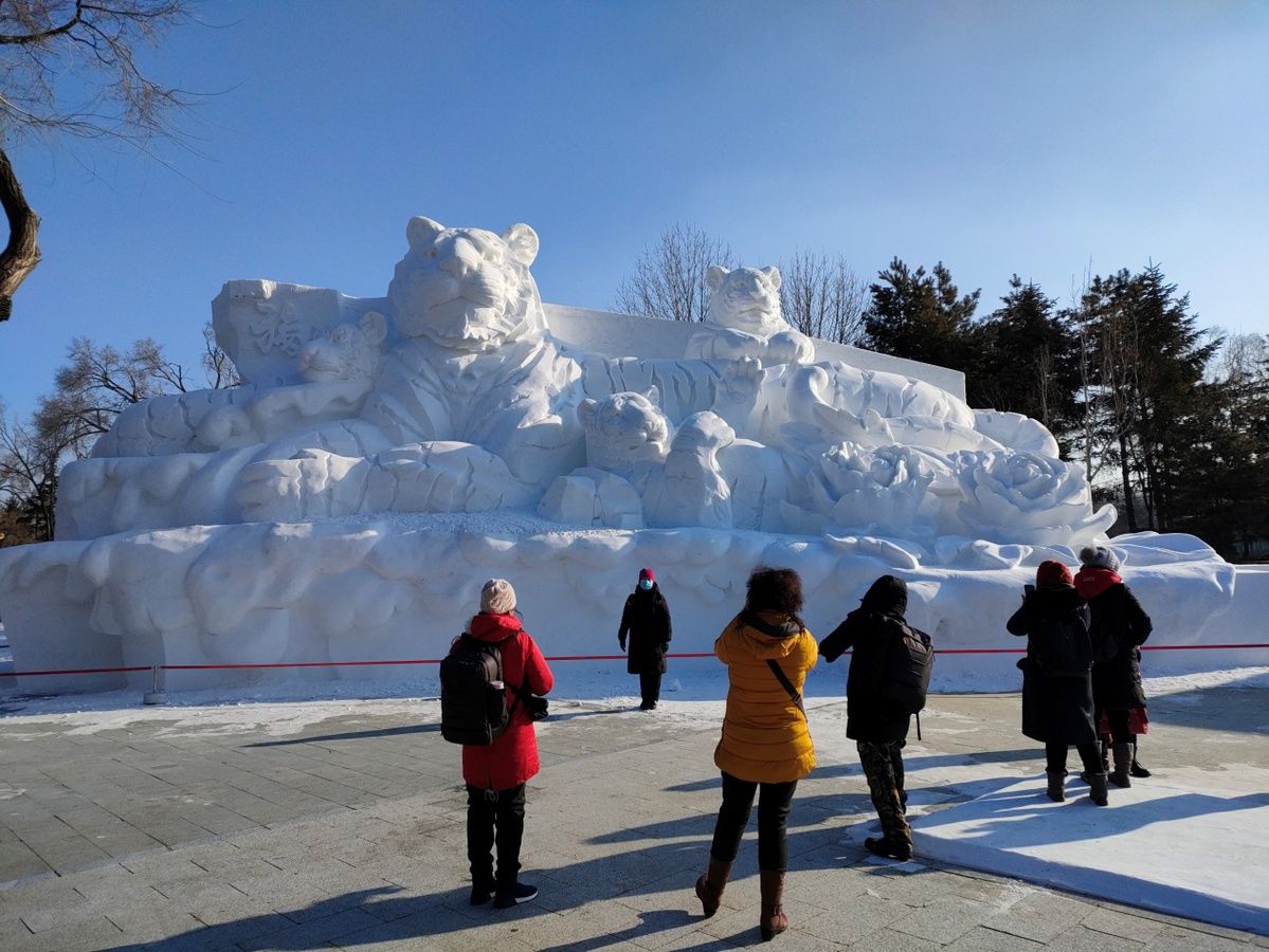 雪博会|第三十四届哈尔滨太阳岛雪博会12月24日开园