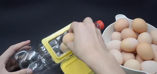 鸡蛋怎么放进塑料瓶？试试这一招，解决了很多家庭的烦恼，都看看吧