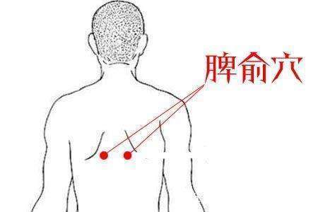 脾衰|脾好，命就好，脾虚，命就虚！脚上一个穴位能养脾救命，来看看